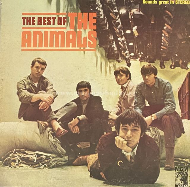 The Animals