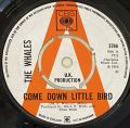 The Whales-Come Down Little Bird / Beachcomber