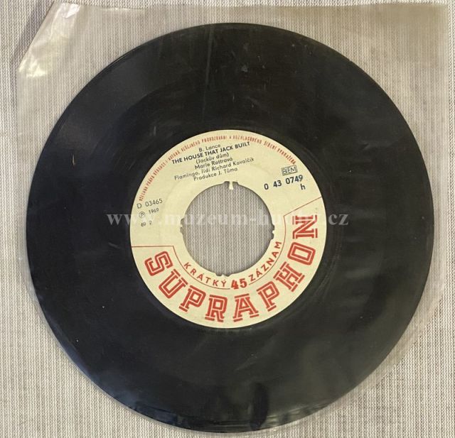 Marie Rottrová, Flamingo