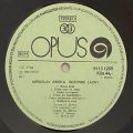 Miroslav Žbirka-Sezónne Lásky