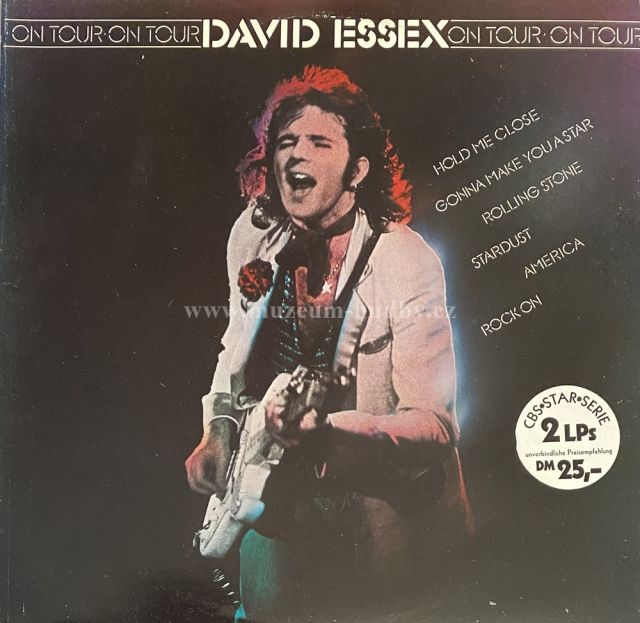 David Essex