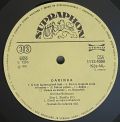 Dara Rolins-Darinka