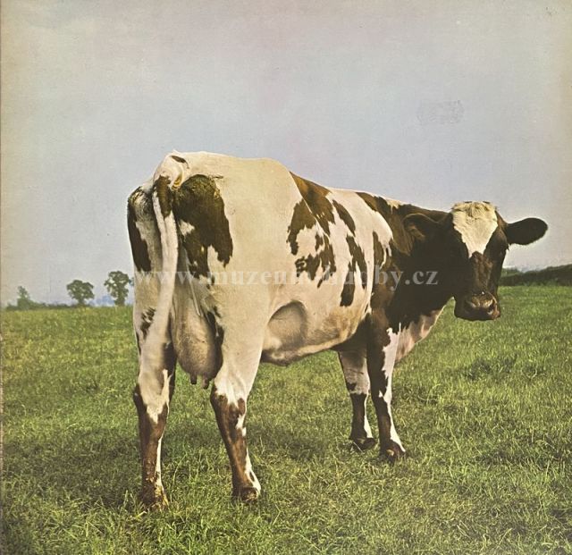 Pink Floyd