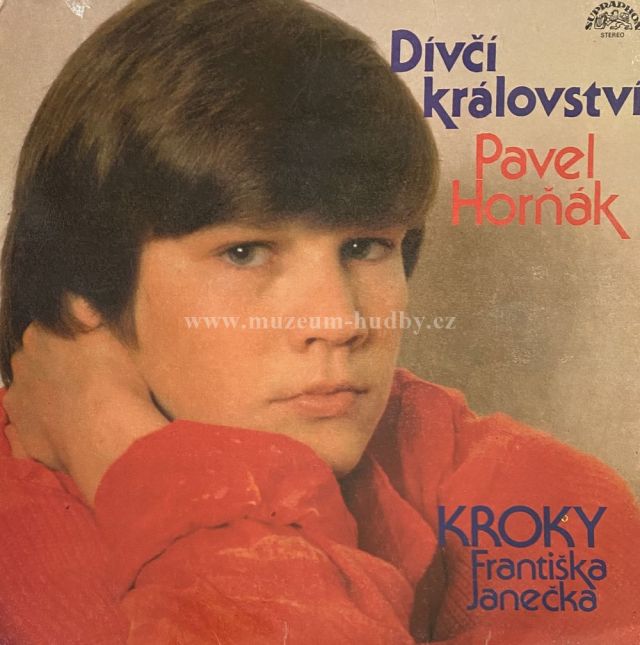Pavel Horňák, Kroky Františka Janečka