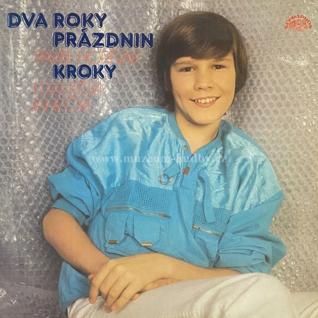 Pavel Horňák, Kroky Františka Janečka