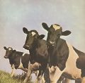 Pink Floyd-Atom Heart Mother UK