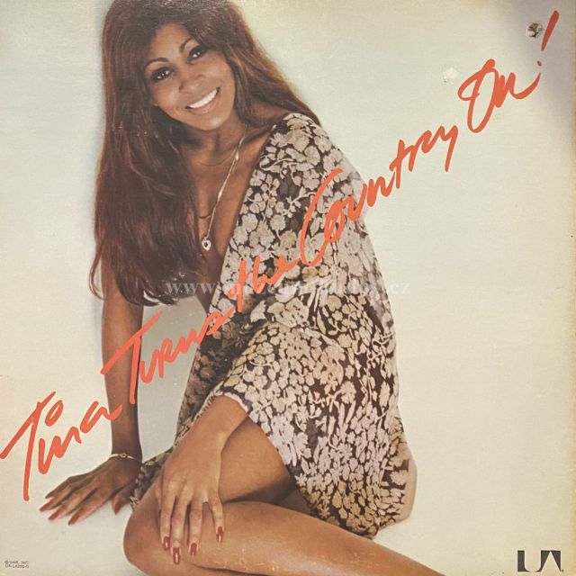 Tina Turner