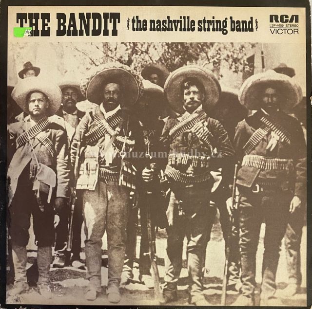 The Nashville String Band