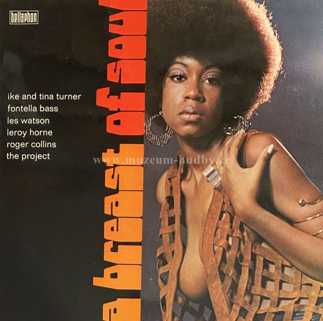 Ike And Tina Turner, Roger Collins & Others