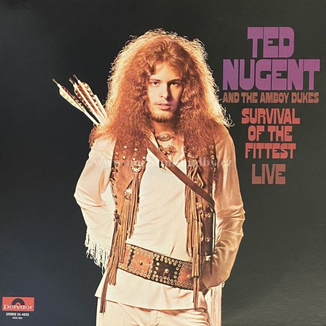 Ted Nugent & The Amboy Dukes