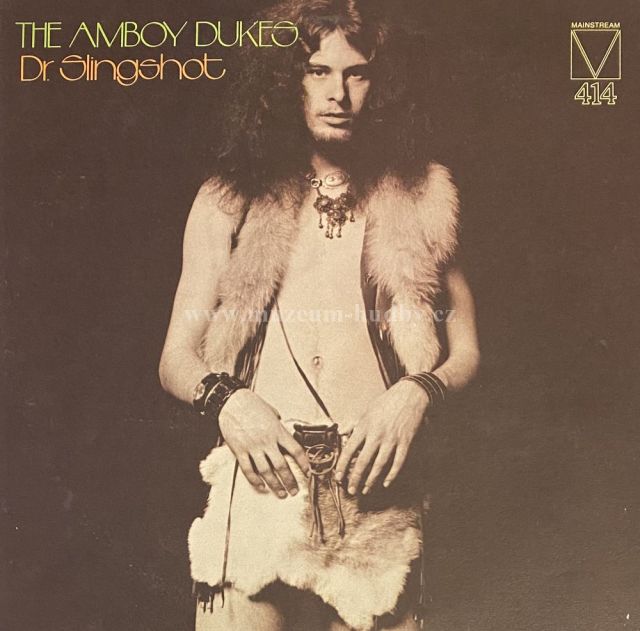 The Amboy Dukes