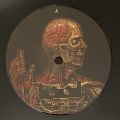 Tool-Lateralus