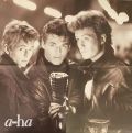 a-ha-Stay On These Roads / poster