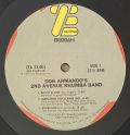 Don Armando's 2nd Avenue Rhumba Band-Don Armando's 2nd Avenue Rhumba Band