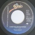 Joan Jett & The Blackhearts-Fake Friends / Coney Island Whitefish