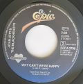 Joan Jett & The Blackhearts-Everyday People / Why Can't We Be Happy
