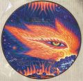 Tool-Fear Inoculum [Picture Disc]