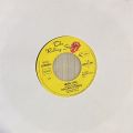 The Rolling Stones-Miss You / Faraway Eyes