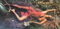 Roxy Music-Stranded