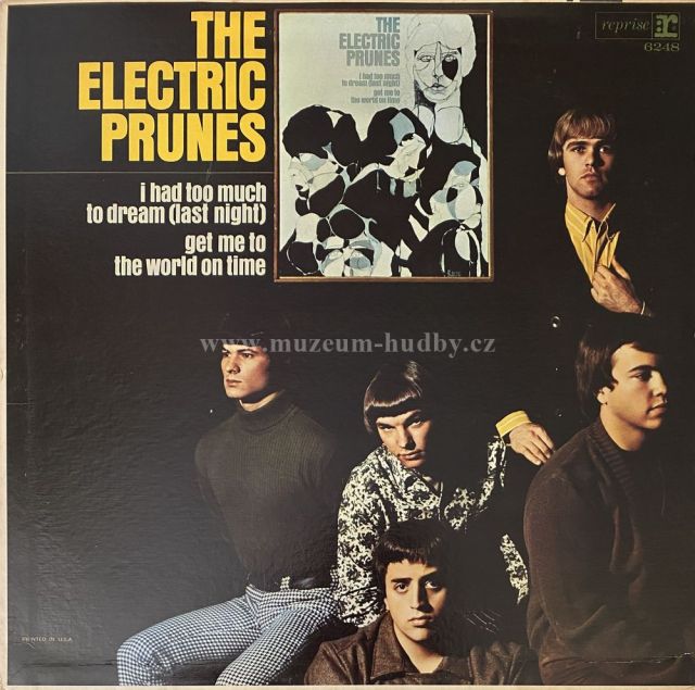 The Electric Prunes