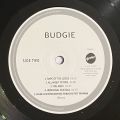 Budgie-Budgie