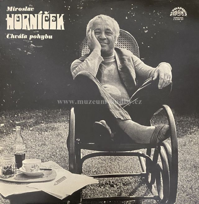 Miroslav Horníček