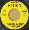 Count Five-Psychotic Reaction / They're Gonna Get You