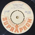 Milan Chladil / Josef Zíma-Sedmkrát v Týdnu / Papírová Bruneta