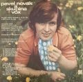 Pavel Novák-Cesty