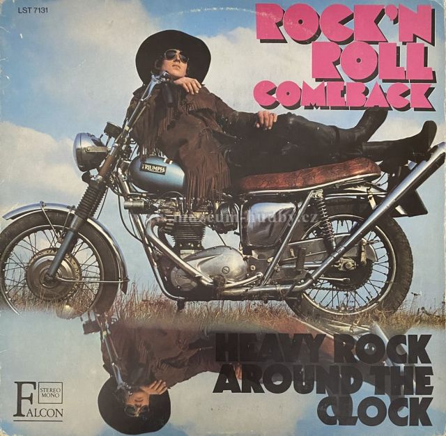 The Hurrican-Kids, Johnny And The Blizzards, The Wild Angels