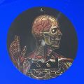 Tool-Lateralus [Blue Vinyls]