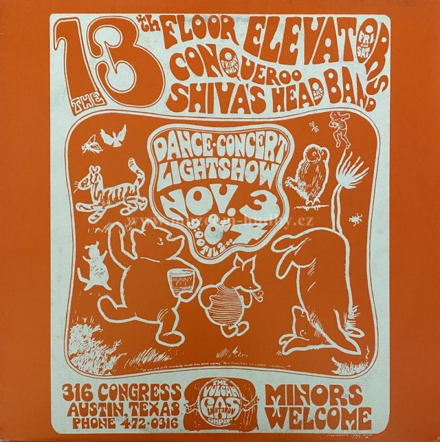 The 13th Floor Elevators