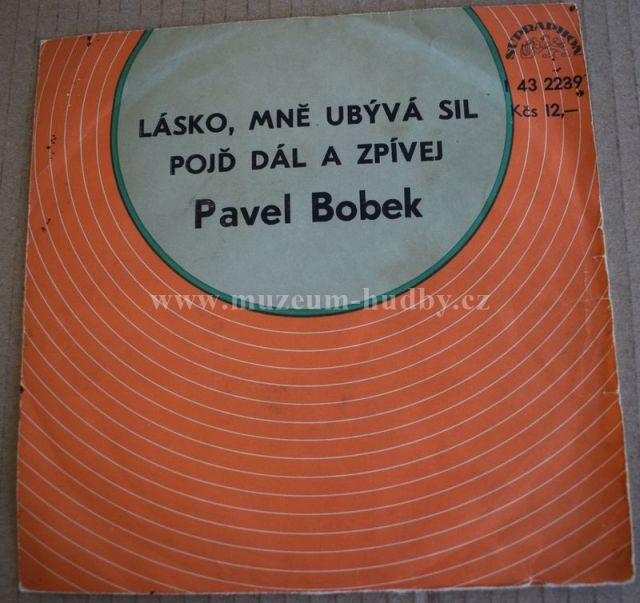 Pavel Bobek