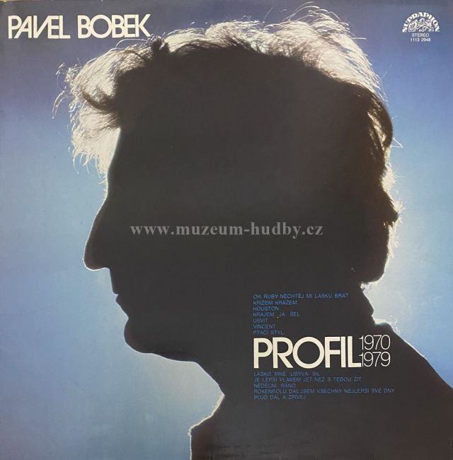 Pavel Bobek