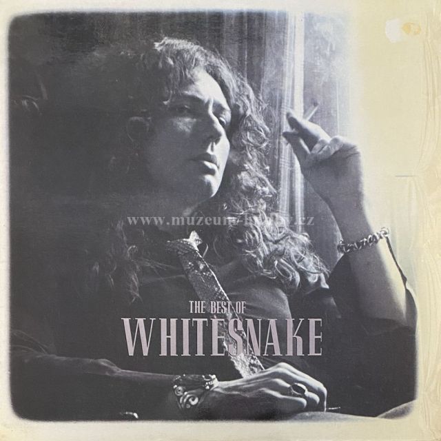 Whitesnake