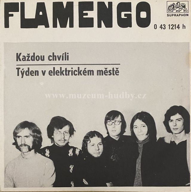 Flamengo / Vladimír Mišík