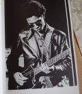 Hendrix-An illustrated biography by Victor Sampson