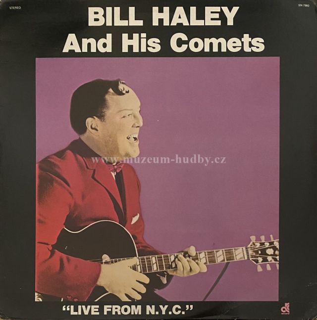 Bill Haley & His Comets