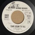 Junier Mintz-Tears Began To Fall