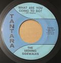 The Moving Sidewalks-99th Floor / What Are You Going To Do? / USA