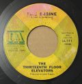 The 13th Floor Elevators-Reverbaration (Doubt) / Fire Engine