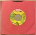 The 13th Floor Elevators-Reverbaration (Doubt) / Fire Engine