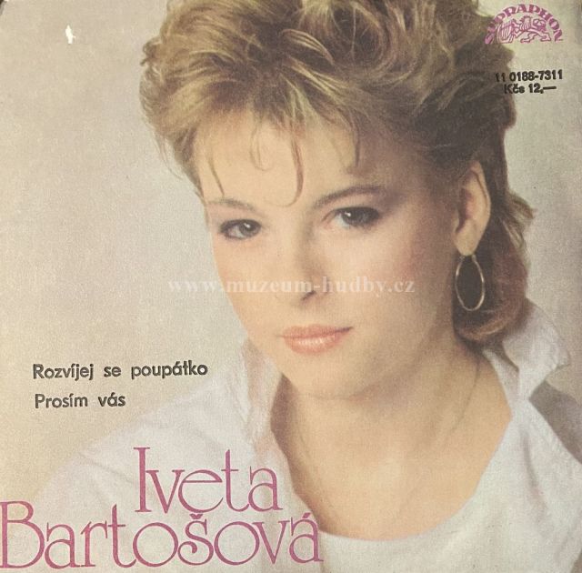Iveta Bartošová