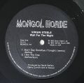 Virgin Steele-Wait For The Night