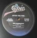 After The Fire-Der Kommissar
