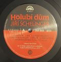 Jiří Schelinger-Holubí Dům