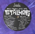 The Stallions-Hey Baby, It's The Stallions [Purple Marbled Vinyl + příloha]