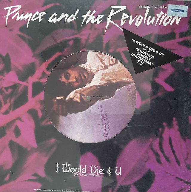 Prince and the Revolution