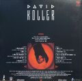 David Koller-David Koller