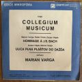 Collegium Musicum-Hommage À J. S. Bach / Ulica Plná Plášťov Do Dažďa